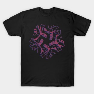 CholeratoxinB pentamer 3d T-Shirt